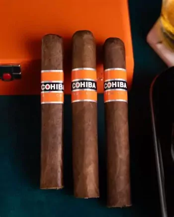 Cohiba Rubicon Cigars