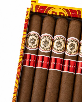 Macanudo Sumatra Cigars