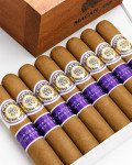 Macanudo Ecuadorian Shade Cigars