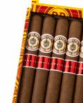 Macanudo Sumatra Cigars