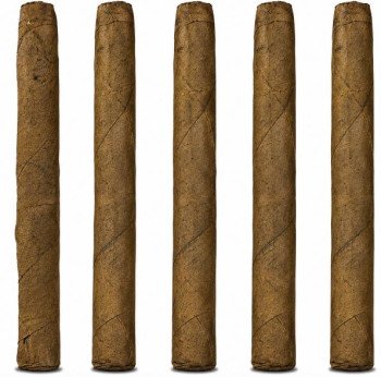 Acid C-Note 5-Pack