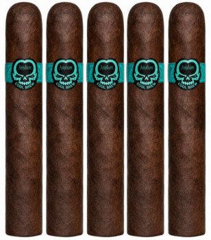 Asylum Cool Brew Robusto 5-Pack