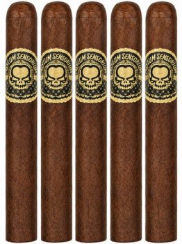 Asylum Sensorium 11/18 5-Pack