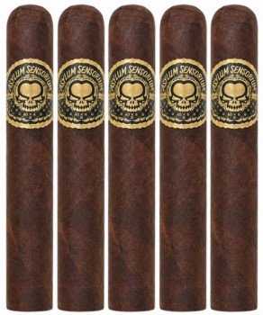 Asylum Sensorium 60 x 6 5-Pack