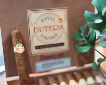 Butera Royal Vintage 550 Maduro