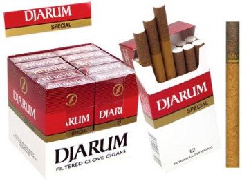 Djarum Filtered Clove Cigars Special