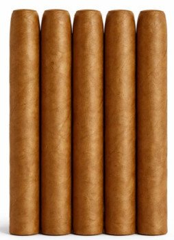Dutch Delites Sumatra 5-Pack