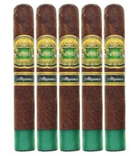 E. P. Carrillo Allegiance Chaperone 5-Pack