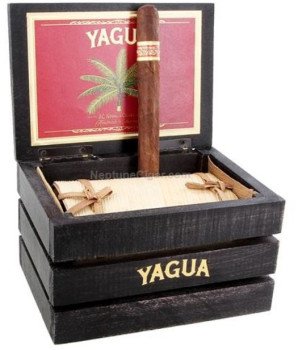 J. C. Newman Yagua Toro