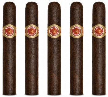 Moya Maduro Casadores 5-Pack