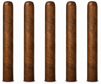 Tampa Trolleys Churchill 5-Pack