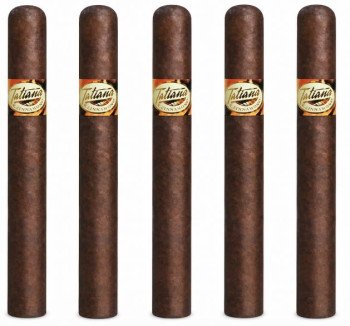 Tatiana Cinnamon Classic 5-Pack