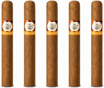 Tatiana Harvest Moon Classic 5-Pack