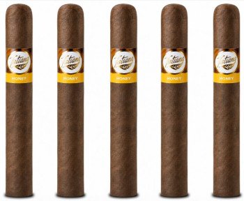 Tatiana Honey Robusto 5-Pack