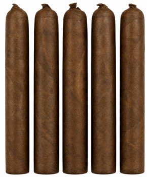 Tatuaje Series P Miami P-1 Corona Gorda 5-Pack