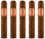 601 Red Habano Trabuco 5-Pack