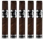 Acid 20 Robusto Maduro Box Pressed 5-Pack