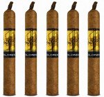 Acid Blondie Gold 5-Pack
