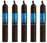 Acid Blondie Maduro 5-Pack