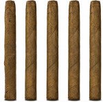 Acid C-Note 5-Pack