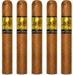Acid Cold Infusion 5-Pack