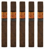 Acid Madre Press 5-Pack