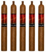 Acid Mag Mile 5-Pack