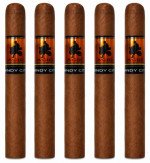 Acid Windy City 5-Pack