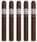 Affinity Maduro Churchill 5-Pack