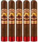 AJ Fernandez Dias de Gloria Short Churchill 5-Pack