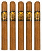 Ambrosia Nectar 5-Pack