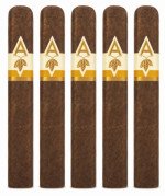 Artista Harvest Sumatra Box Press Robusto 5-Pack