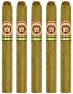 Arturo Fuente Claro Curly Head 5-Pack