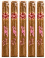 Arturo Fuente It's a Girl 5-Pack