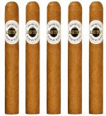 Ashton 898 5-Pack