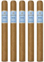 Ashton Connecticut Blue Senorita 5-Pack