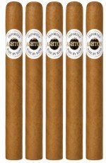 Ashton Cordial 5-Pack