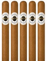 Ashton Prime Minister 5-Pack