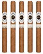 Ashton White Cameroon Senorita 5-Pack