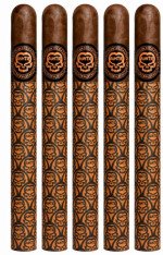 Asylum 867 Aunti Corona 5-Pack
