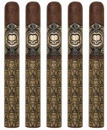 Asylum 867 Midnight Oil The 70 5-Pack