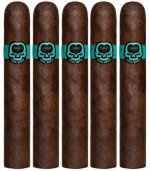 Asylum Cool Brew Robusto 5-Pack