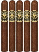 Asylum Sensorium 11/18 5-Pack