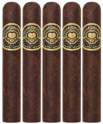 Asylum Sensorium 60 x 6 5-Pack