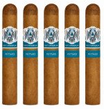 Avo Syncro Ritmo Robusto 5-Pack