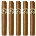 AVO XO Intermezzo 5-Pack