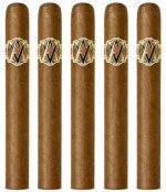 AVO XO Maestoso 5-Pack