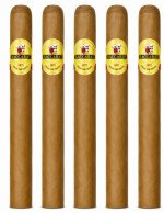 Baccarat Kings 5-Pack