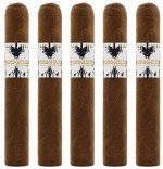 BLK WKS Studio Rorschach Short Robusto 5-Pack