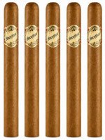 Brick House Corona Larga 5-Pack